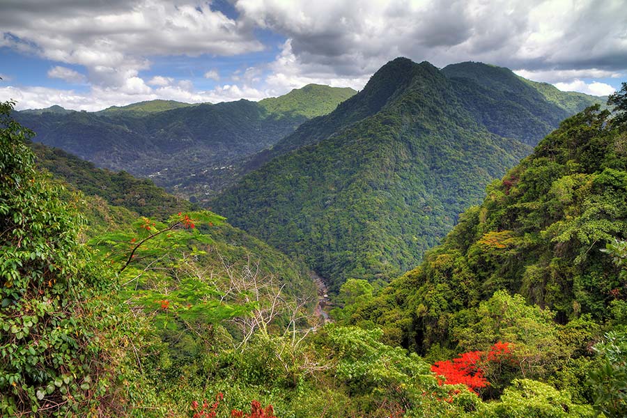El Yunque National Rain Forest Tour