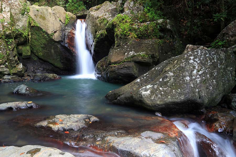 El Yunque National Rain Forest Tour